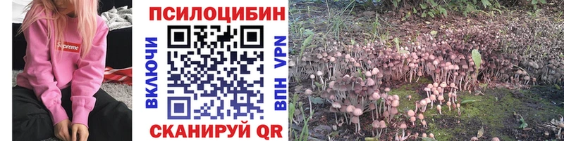 Галлюциногенные грибы Psilocybine cubensis  Юрьевец 